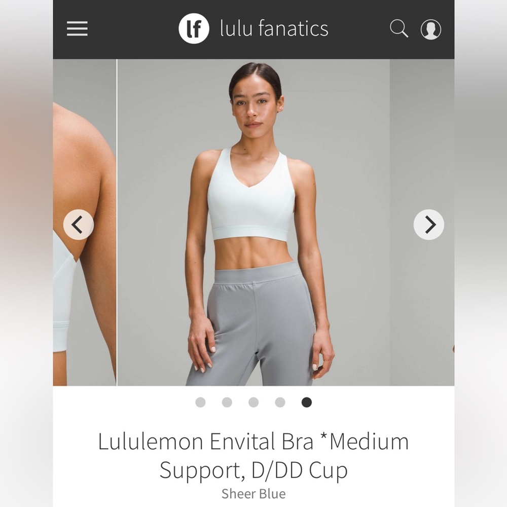 NWT Lululemon Envital Bra D/DD size 8 in sheer blue color